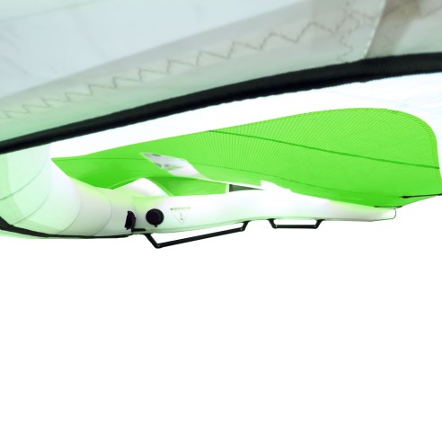 Reptile Wing Bora Boom
